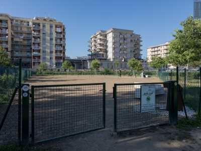 In pi� non ci sono zone d�ombra